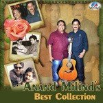 Anand-Milind's Best Collection - Sukhwinder Singh Song Download